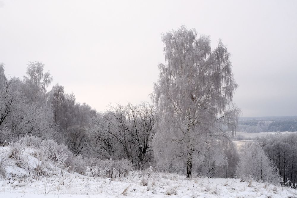 Photograph by Андрей Михайлин