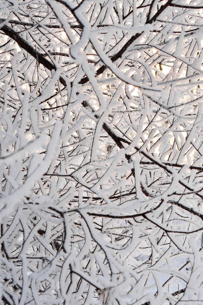 Photograph by Andrey