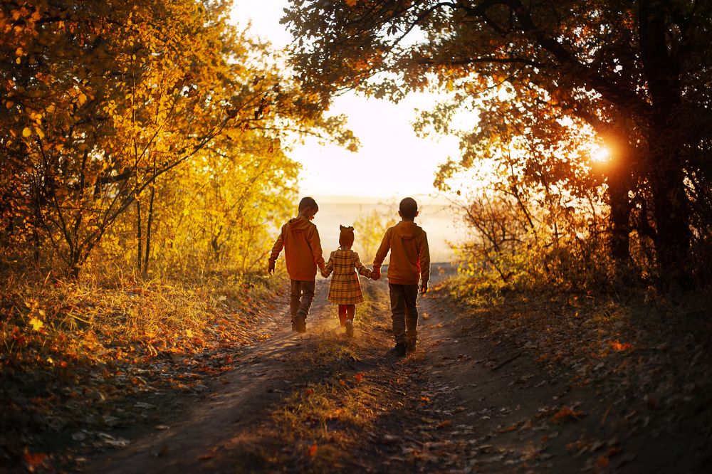 Вот такая дружба