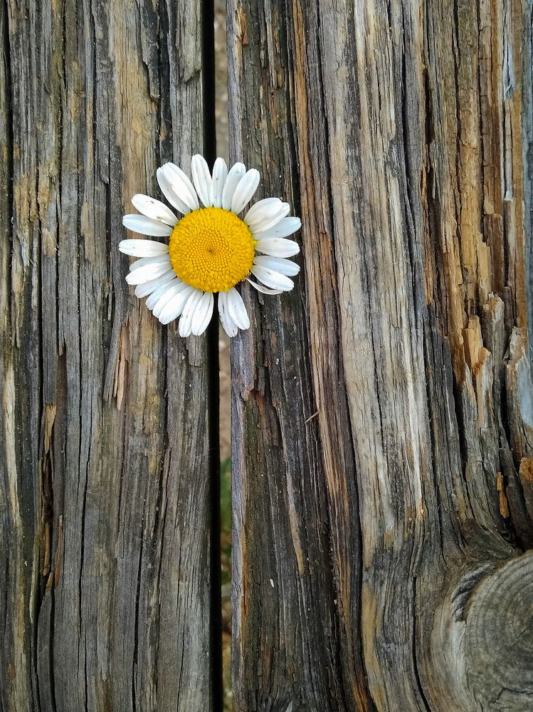 Photograph by Оксана