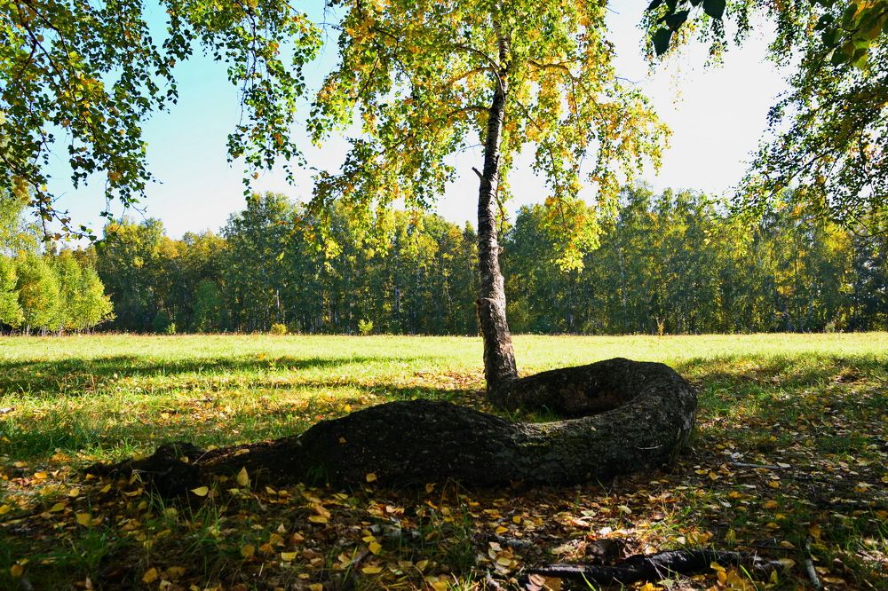 Photograph by Andrey