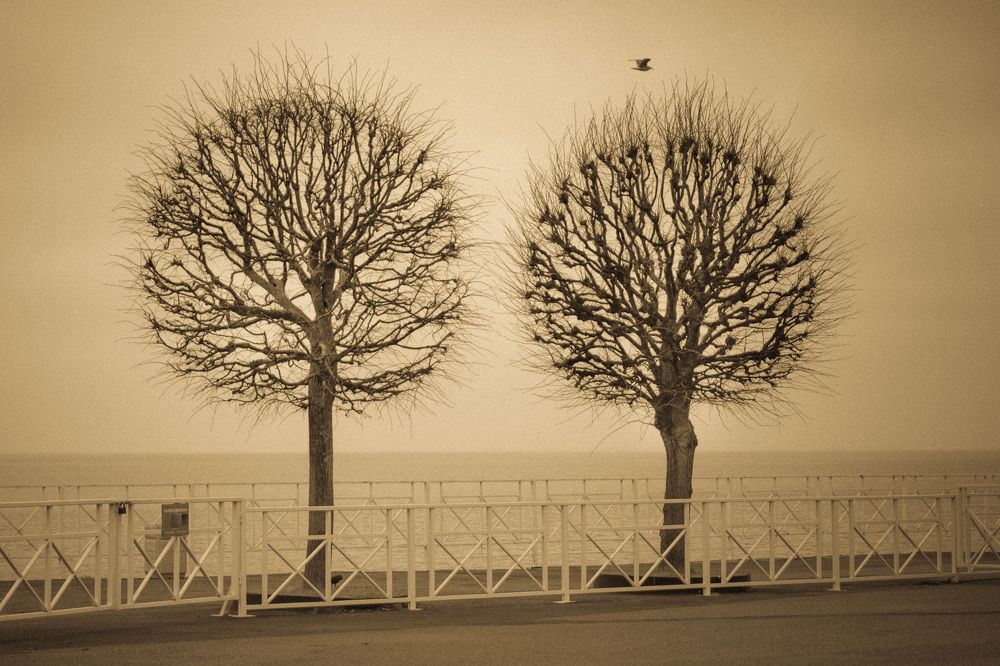 Photograph by Светлана Гонская