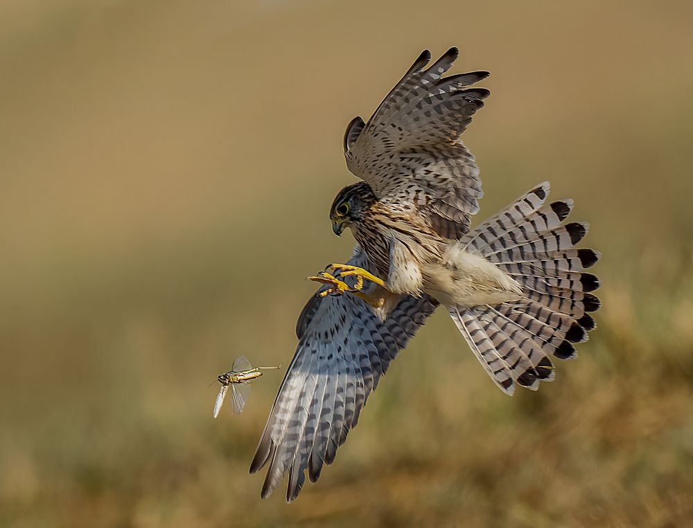 Photograph by Bristow Joseph