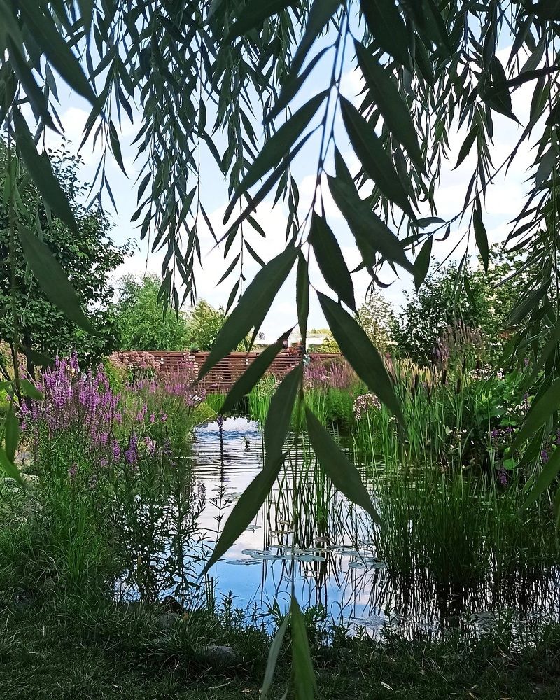 Photograph by Светлана