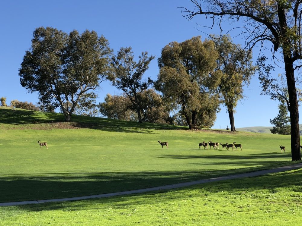 Photograph by Elena Tishenko