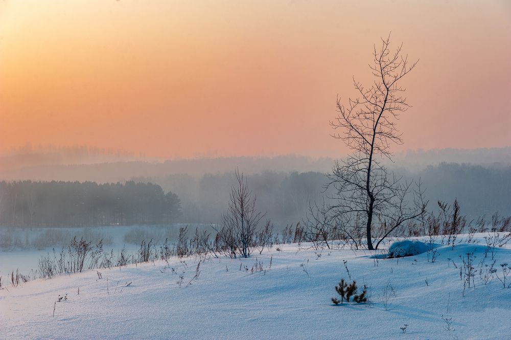 Photograph by Виктор Садырин