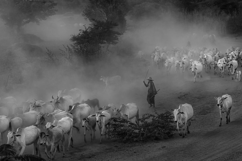 Фотография автора Pyii Zone Aung