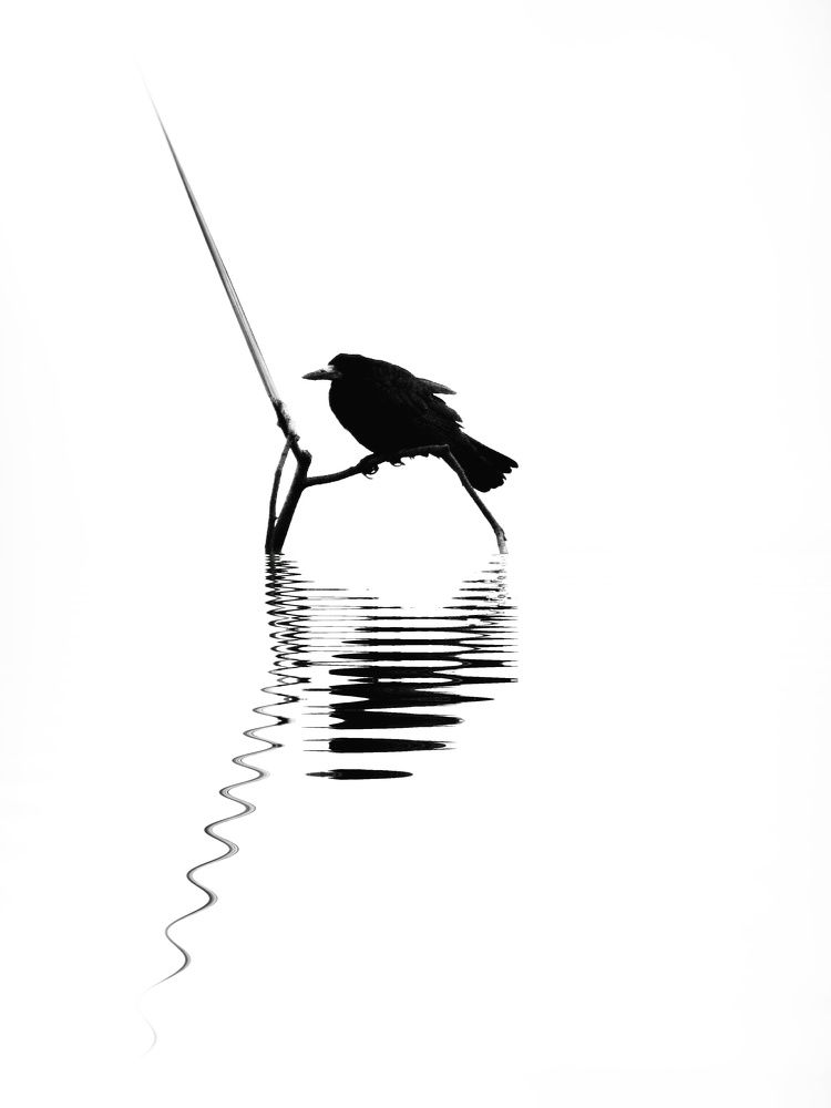 Photograph by Татьяна Максакова