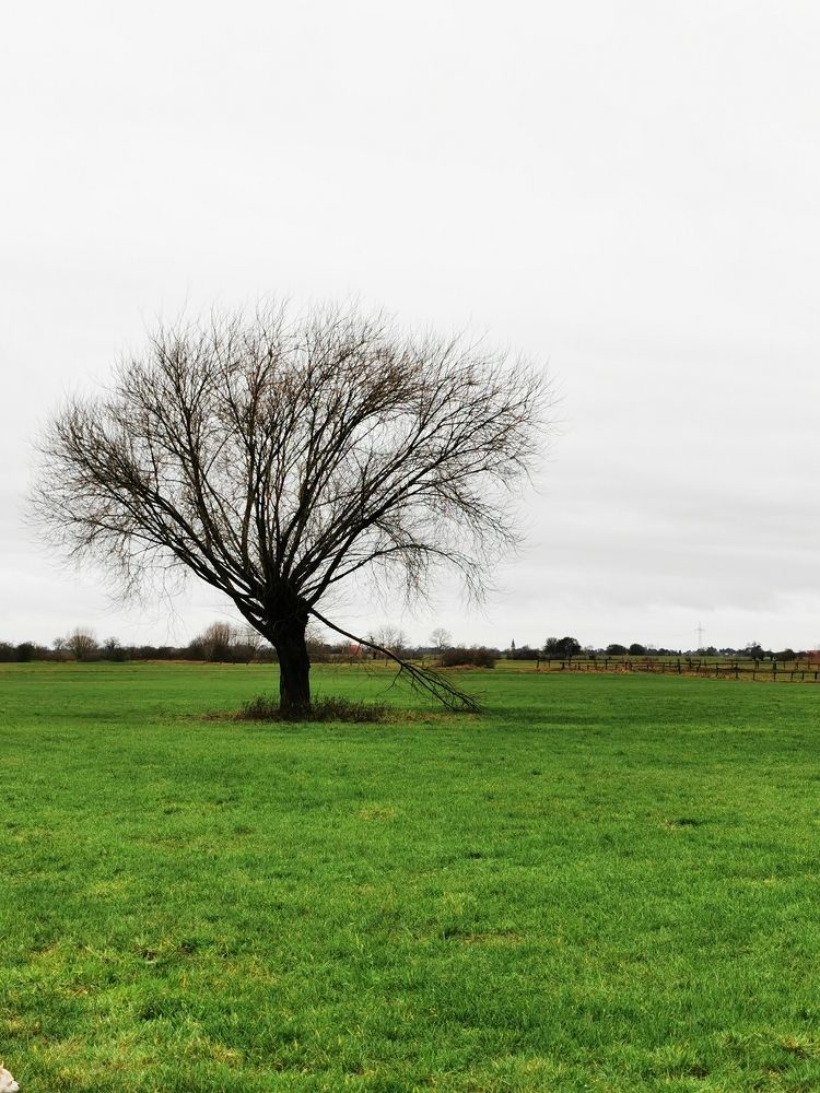 Photograph by Михаил Жарский