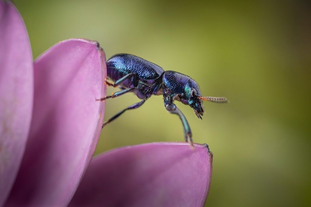 Photograph by Sleiby Hussam