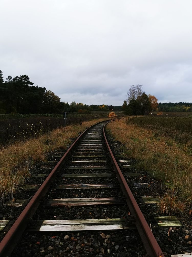 Photograph by Михаил Жарский