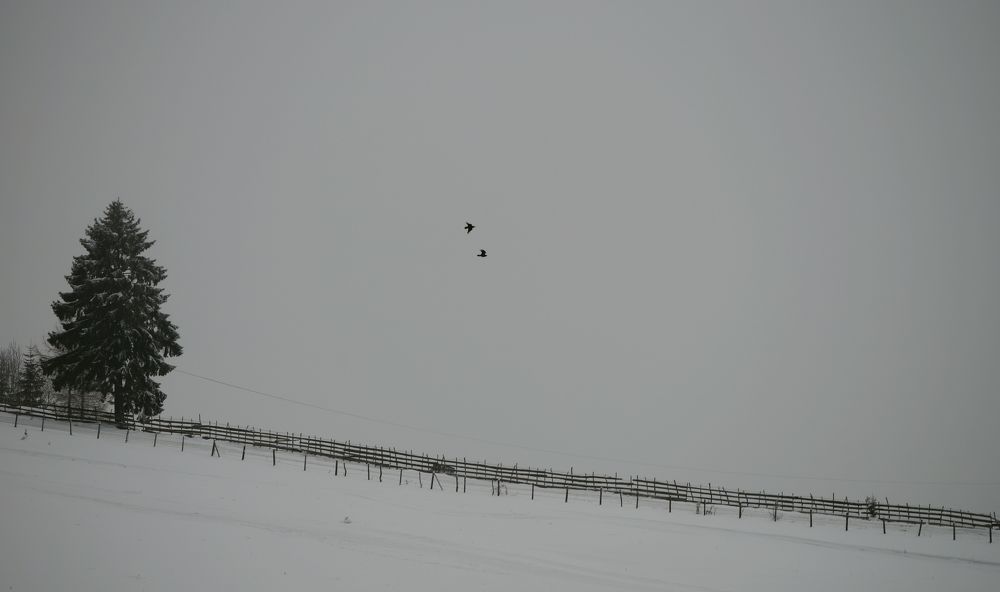 Photograph by Ana Creanga