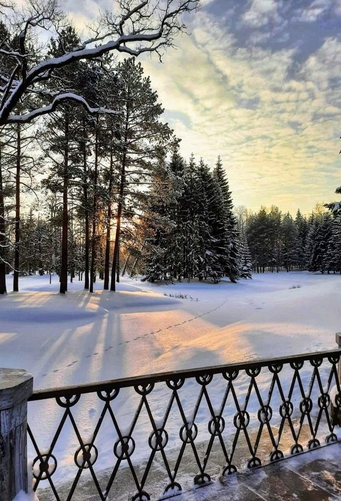 Photograph by Светлана Попова