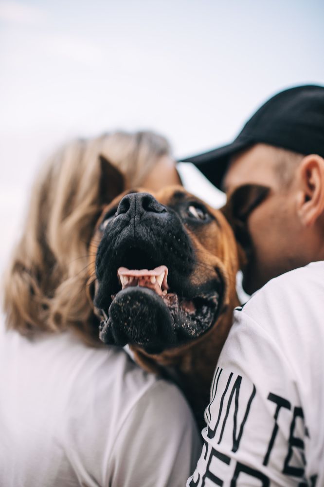 Photograph by Aleksandr Nazar