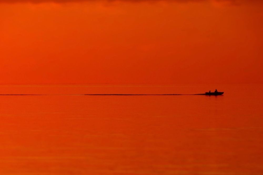 Photograph by Елена Шведова