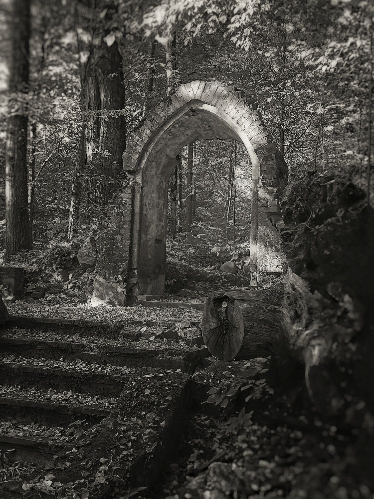 Photograph by Сергей Жигульский