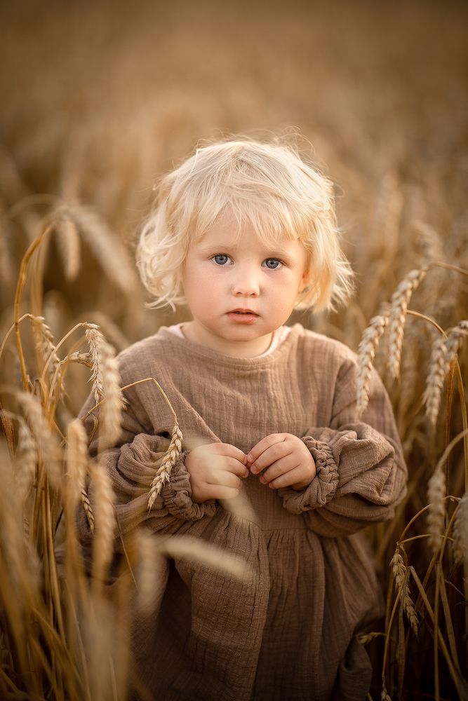 Фотография автора Aleksandr Kurnosov