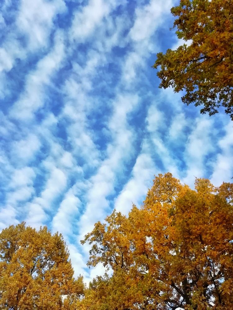 Photograph by Екатерина Чижевская