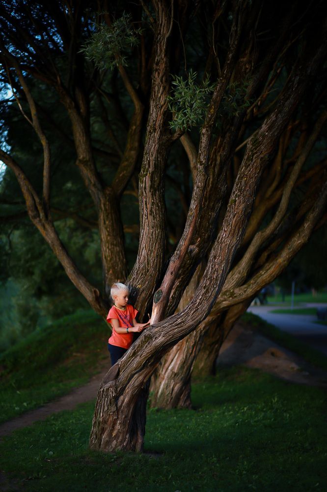 Photograph by Виктория Верба