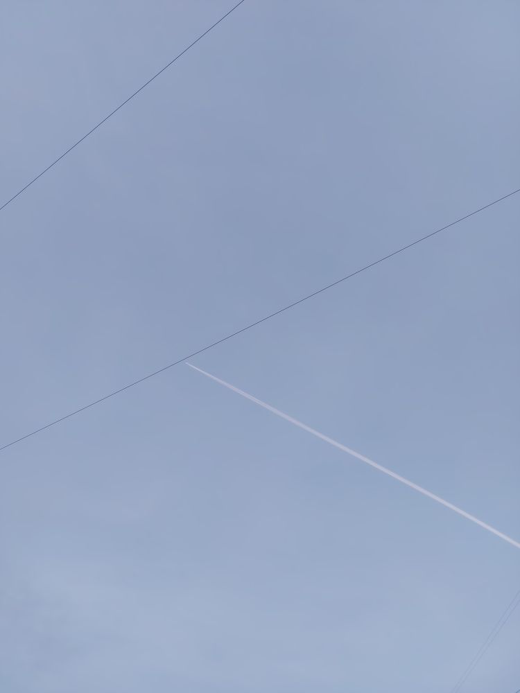 Photograph by Светлана Шиляева