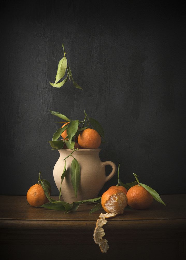 Photograph by Predescu Livius Florin