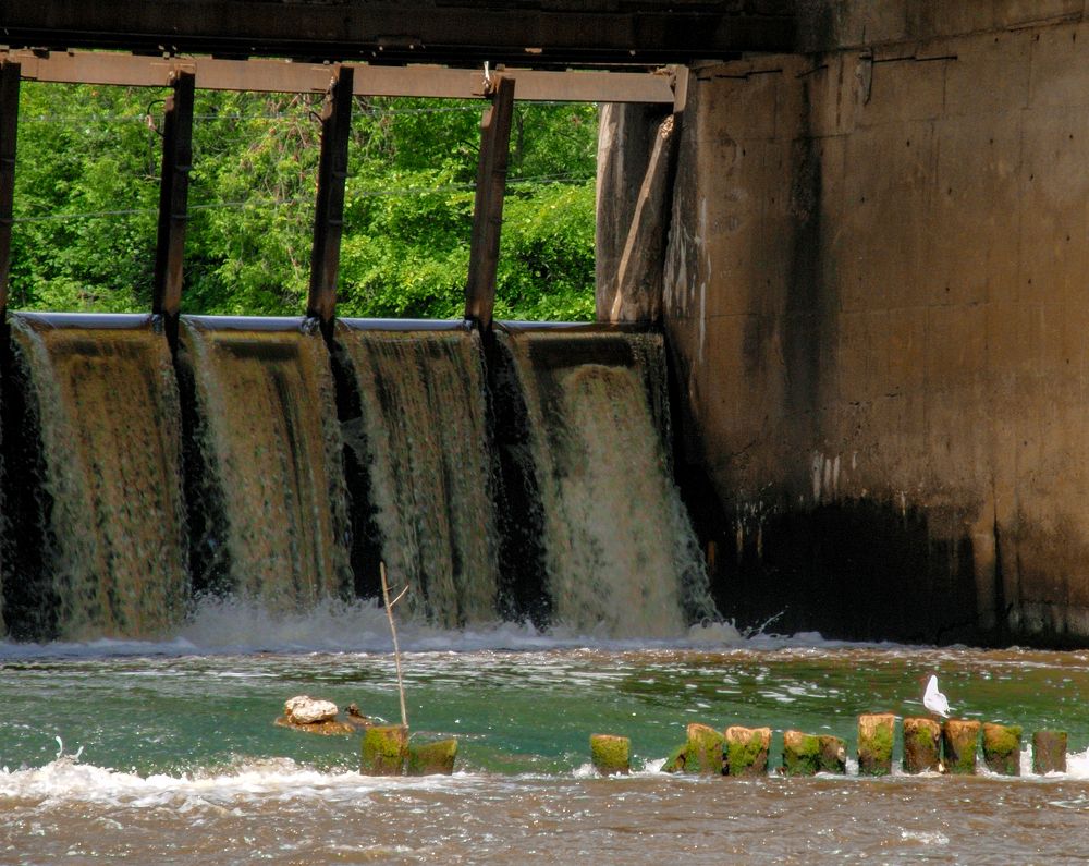 Photograph by Грашин Игорь Алексеевич