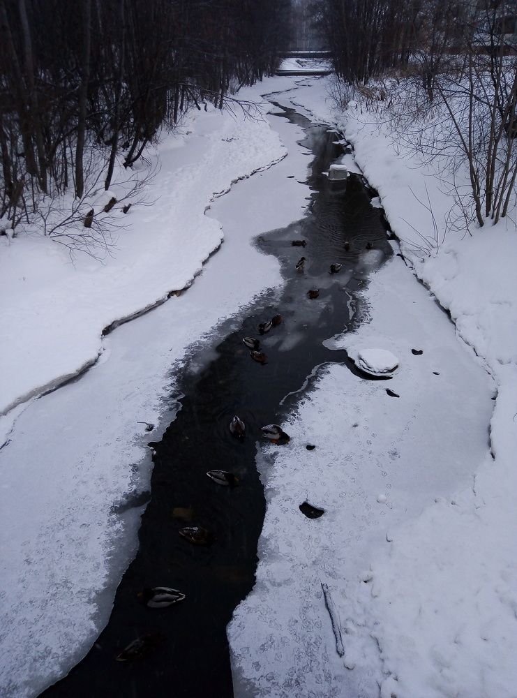 Photo #7135196