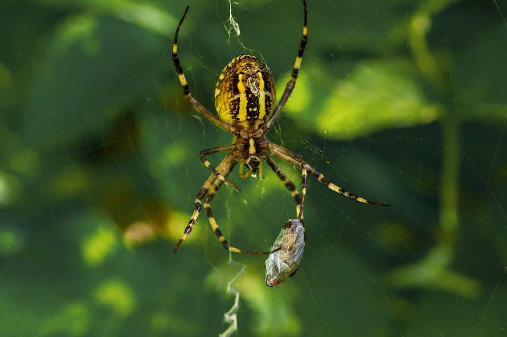 Photograph by Inga Tokar