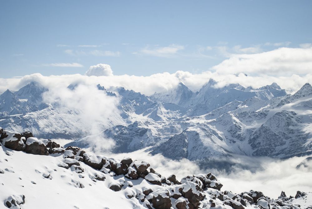 Фотография автора Алексей Самойлов