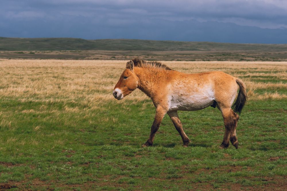 Photograph by Евгений Москвин