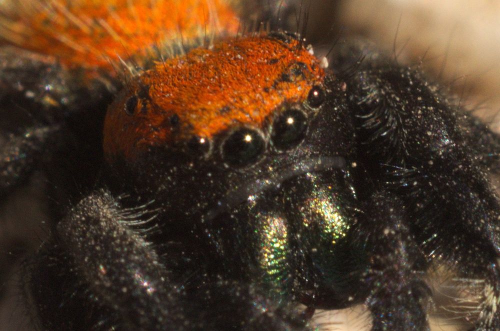 Photograph by Carolyn Crandall