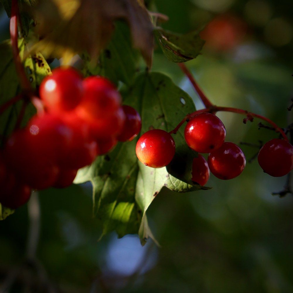 Фотография автора Vadim