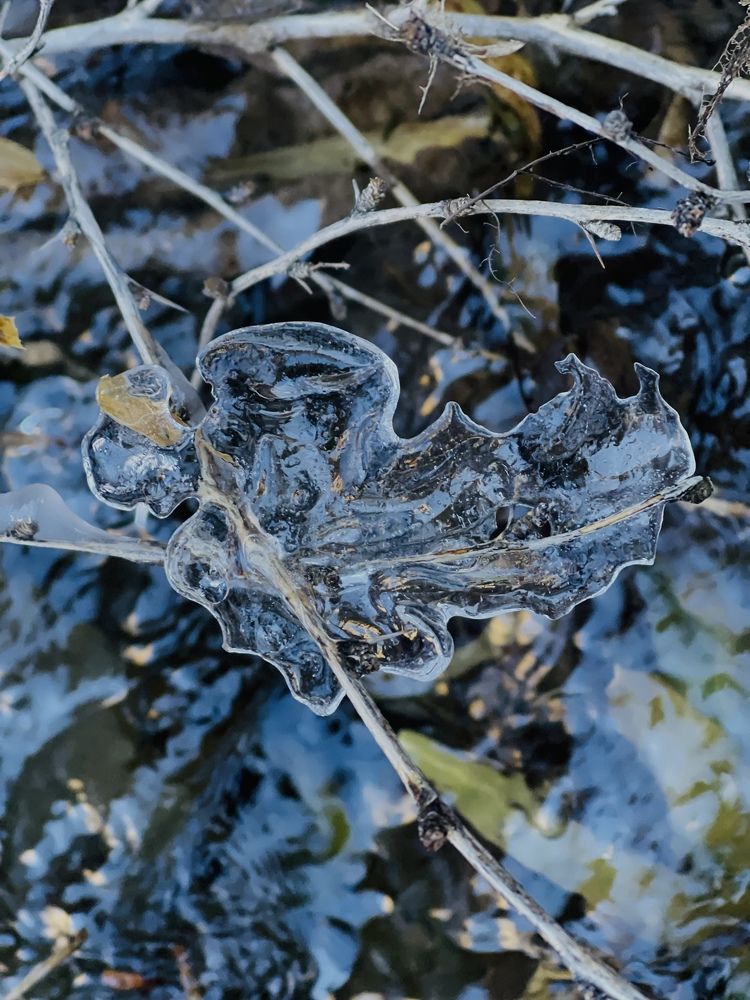 Photograph by Розалия