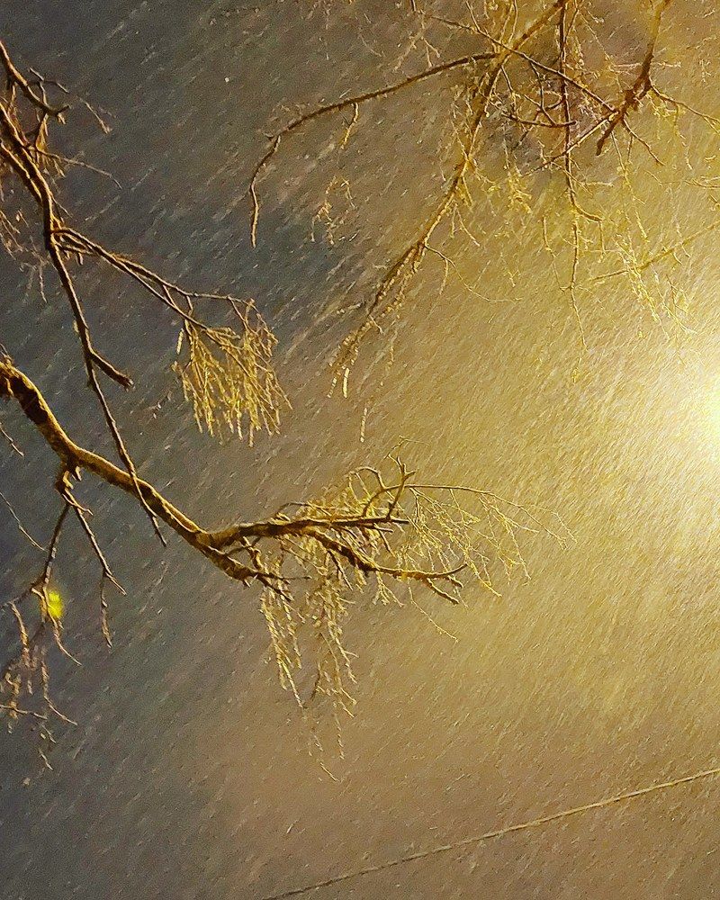 Photograph by Нина Паршина