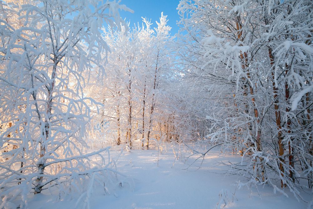 Photograph by Александр Кузнецов