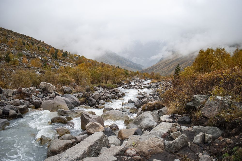 Фотография автора Алексей Самойлов