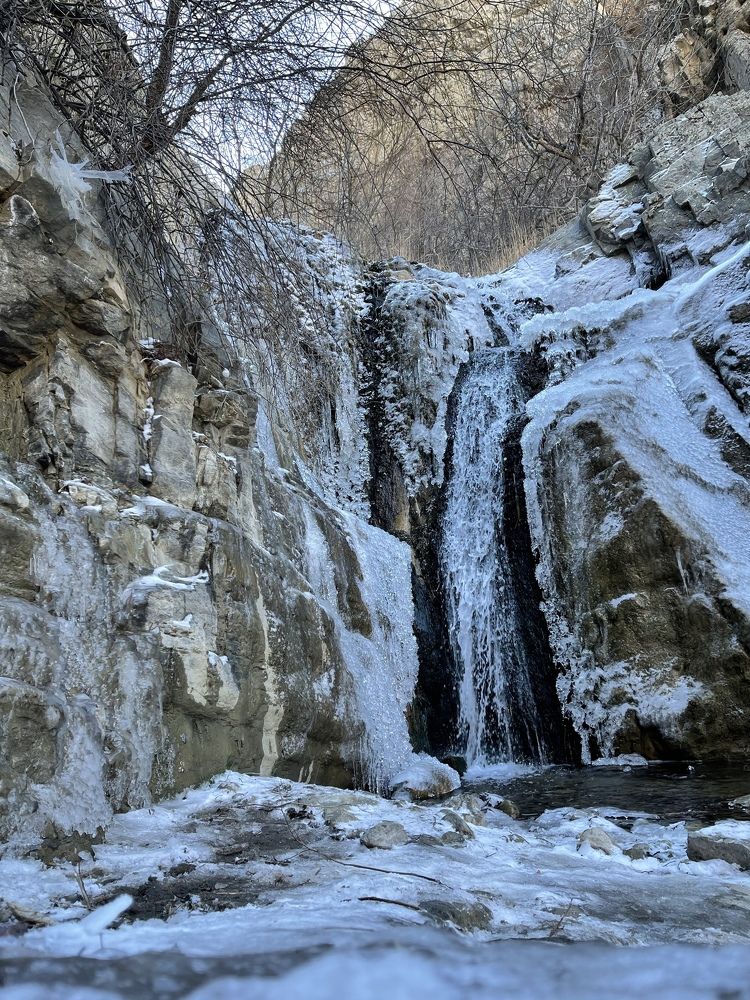 Photograph by Розалия