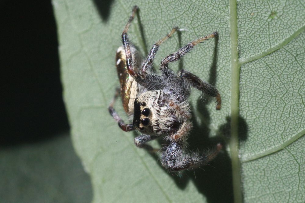 Photograph by Carolyn Crandall