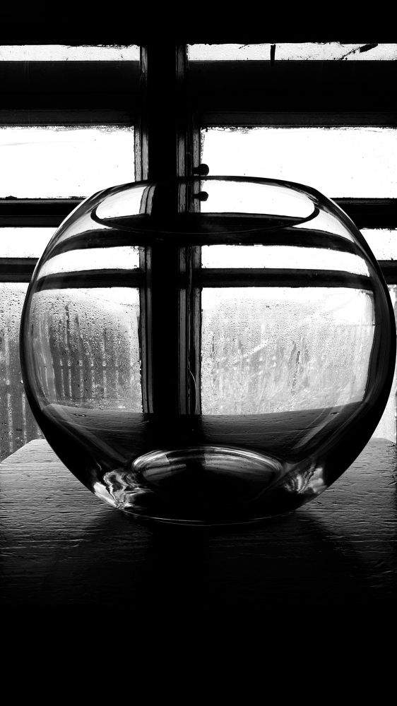 Photograph by Зоя