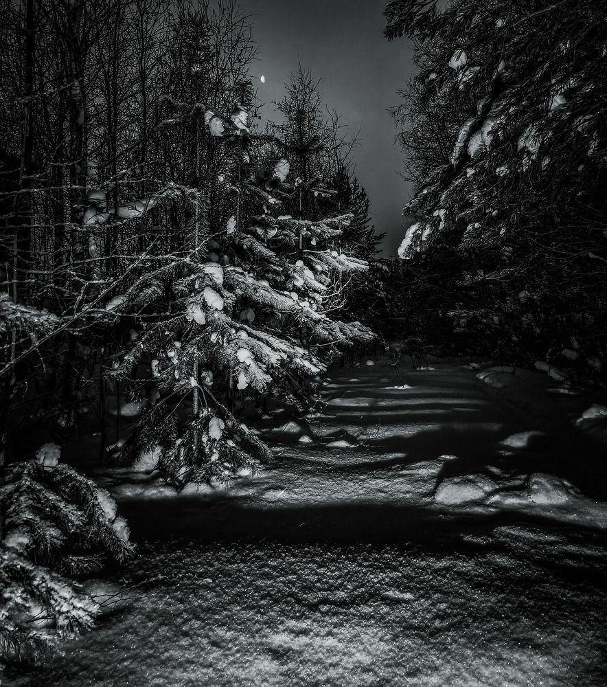 Photograph by Alexandr