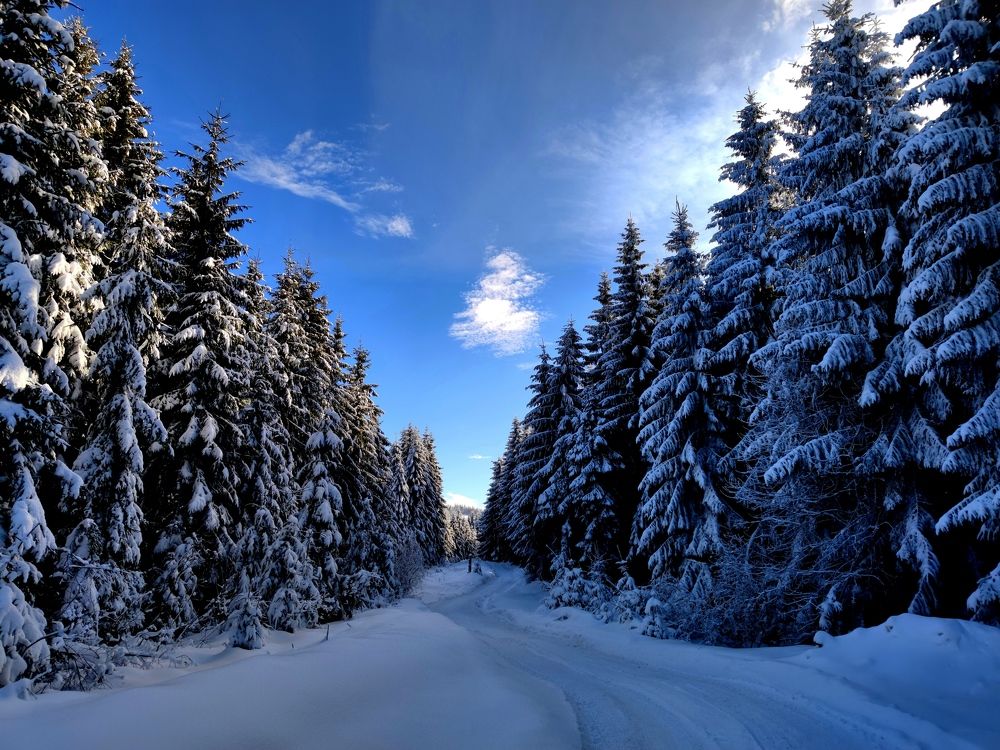 Photograph by Инна Макарчук