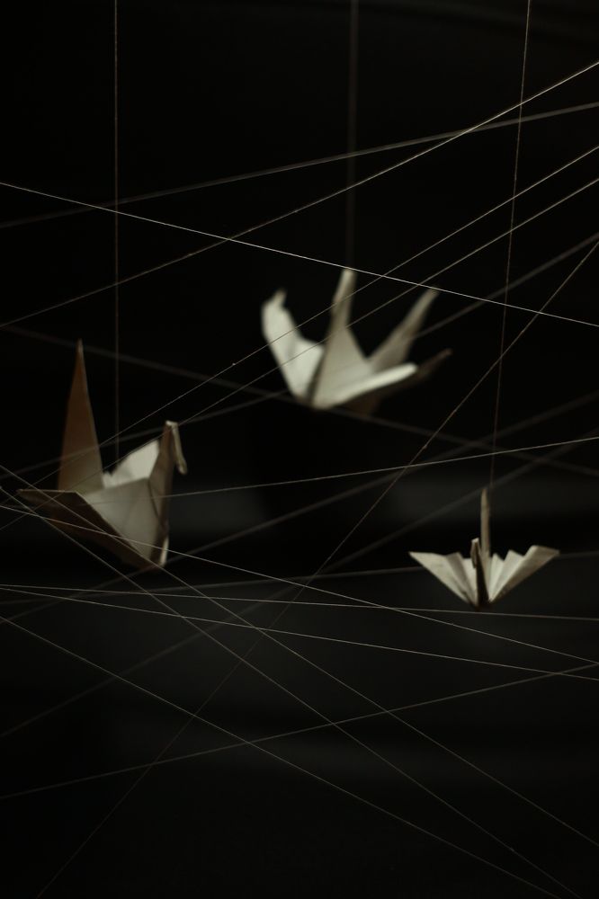 Photograph by Milla Luca