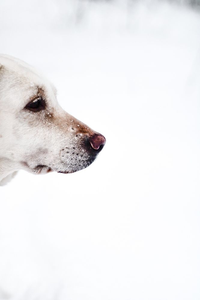 Photograph by Darya Вега