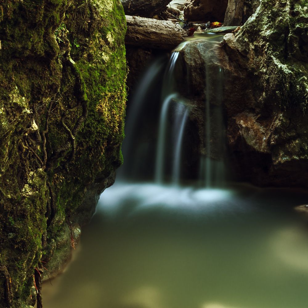 Photograph by Роман Никифоров