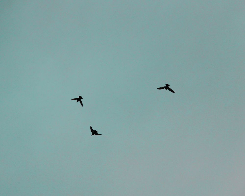 Photograph by Алия Аткельтирова