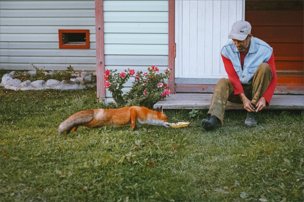 Photograph by Александр Никитинский