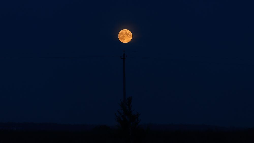 Photograph by Valentin Okulov