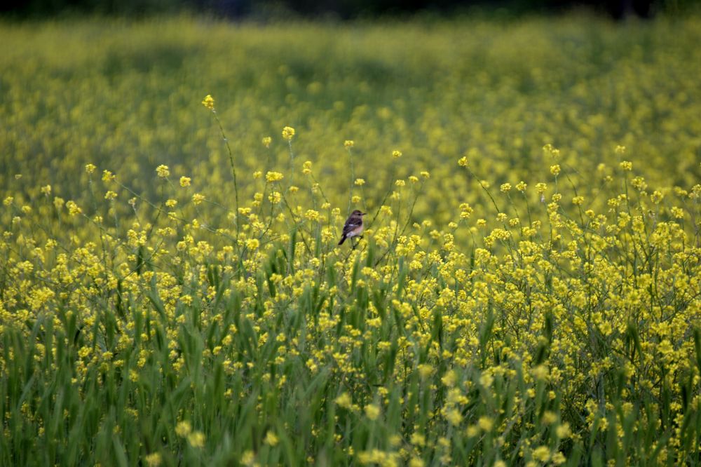 Photograph by Наталья Вялых