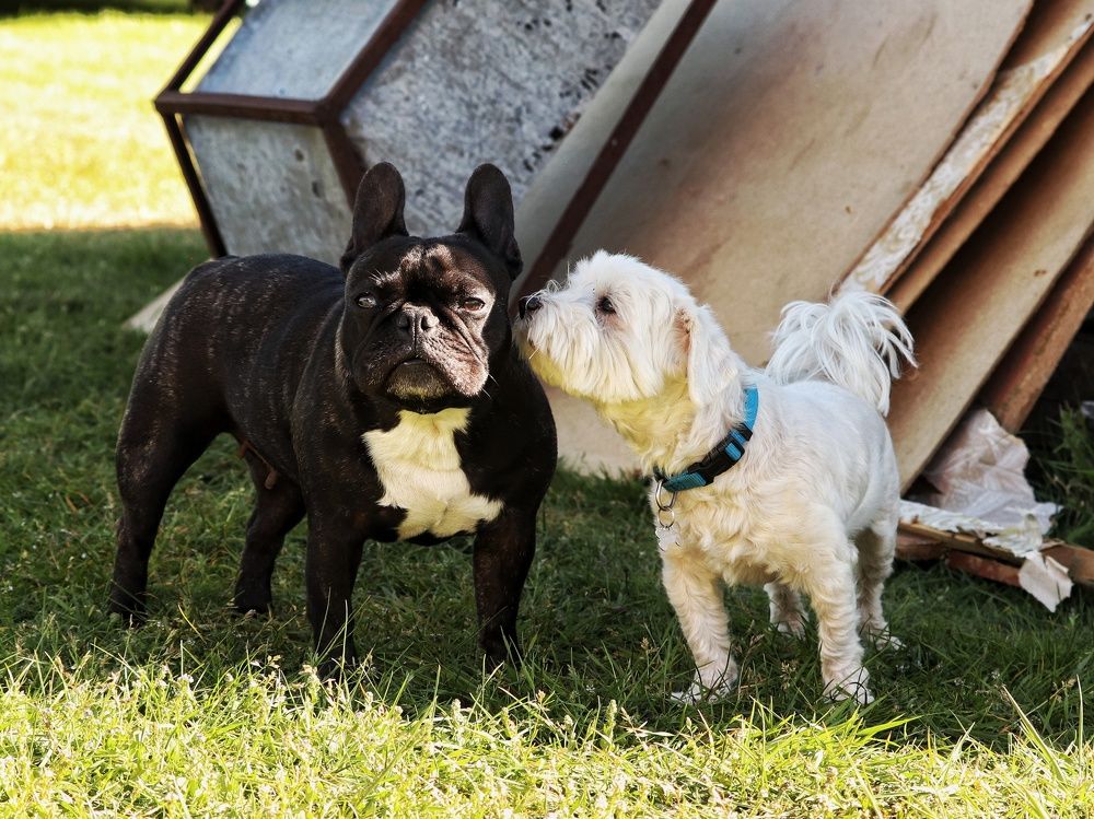 Photograph by Мария Тёмкина