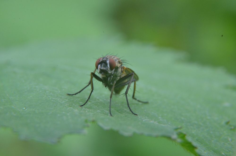 Photograph by Ольга Зиновьева